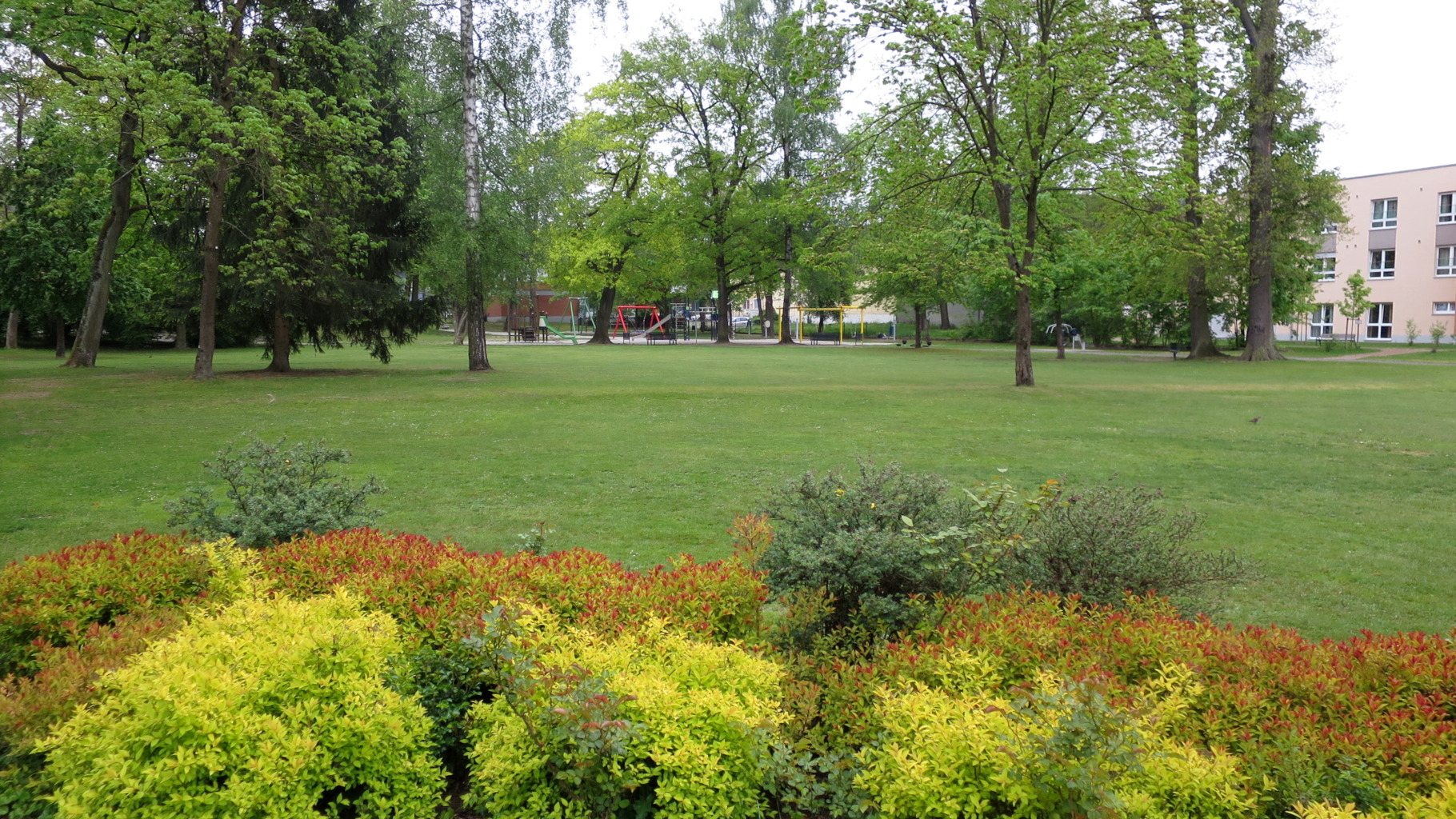 Rasenfläche im Stadtpark